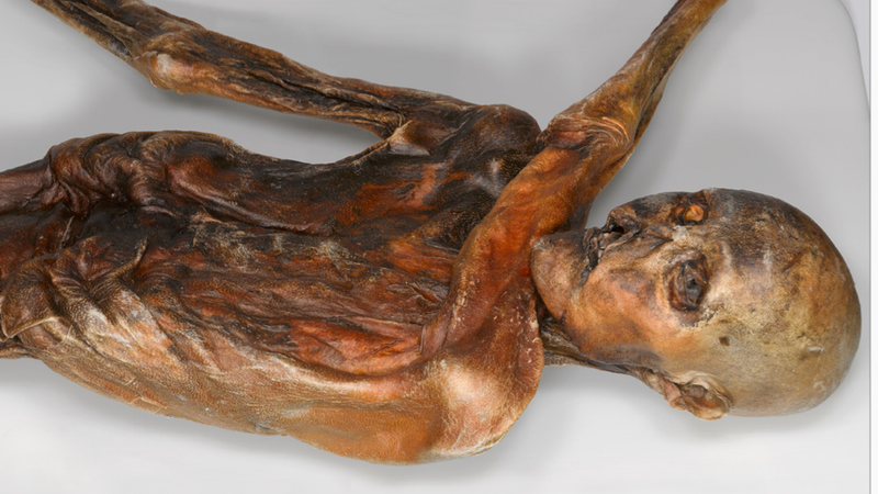 Ötzi’s remains. (Image: University of Padova)